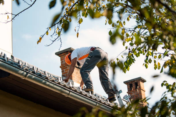 Best Storm Damage Roof Repair  in Park View, IA