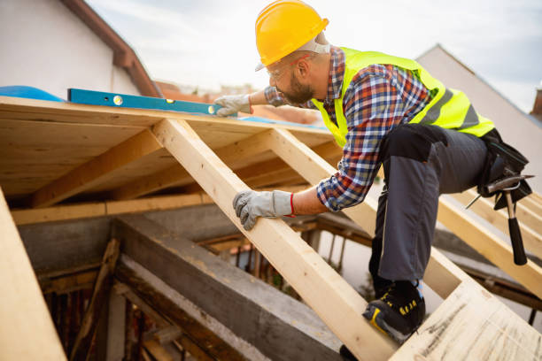 Best Roof Gutter Cleaning  in Park View, IA