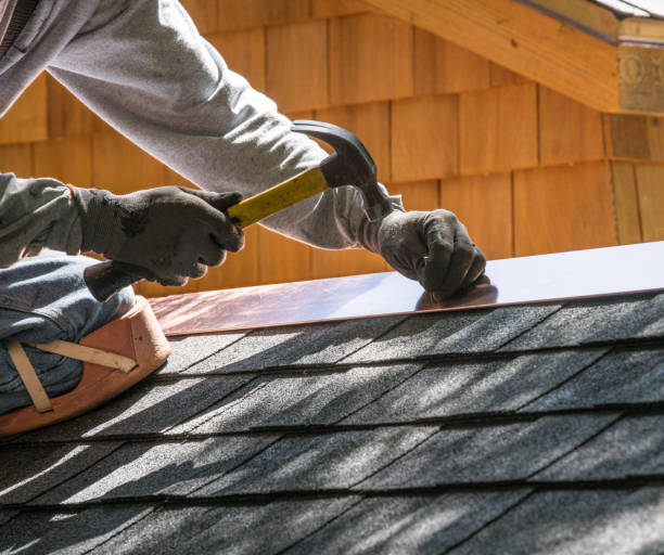 Best Metal Roofing Contractor  in Park View, IA